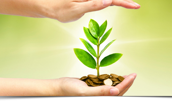 Investment and Saving Advice: Old Royle