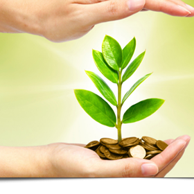 Investment and Saving Advice: Old Royle